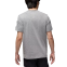 Футболка Nike Air Jordan Ss Crew IB7353-091 0