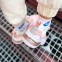 Nike 270 React (Barely Rose) 6