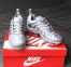 Nike Air Vapormax Plus Tn (Wolf Grey) 0