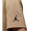 Футболка Nike Air Jordan Crew DM3182-257 2