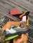 Nike Air Max 270 React Eng Neon 9