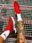 Nike Lebron 16 (White/Red/Black) 8