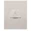 Футболка Nike Air Jordan Flight Essentials 85 FZ1912-133 2