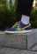 Nike Dunk Low SB 