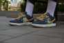Nike Dunk Low SB 