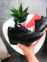 Nike Air Max Mid Winter (Black) 2