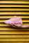 Nike Air Max 95 (Full Pink) 5