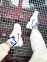 Nike Air Monarch Iv (Silver/White) 10
