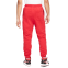 Спортивні штани Nike Air Jordan Essential Fleece Pants DA9820-687 2