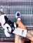 Nike Air Monarch Iv (Black/Blue/White) 4