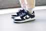 Nike SB Dunk (white/black) 6