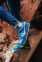 Nike SB Dunk Low X Grateful Dead (Blue/Yellow) 5