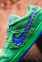 Nike SB Dunk Low X Grateful Dead (Green/Blue) 10
