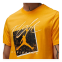 ФУТБОЛКА AIR JORDAN BRAND GFX SS CREW 1 YELLOW DX9593-717 2