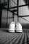 Nike Air Max Plus Tn (White) 6