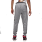 Спортивні штани Nike Air Jordan Essentials Fleece Baseline FD7345-091 0
