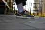 Nike Dunk Low SB 