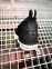 Nike Lebron 16 (Black/White) 11