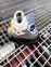 Nike Air Jordan Retro 4 Se (Neon) 1