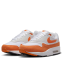 Nike Air Max 1 '87 Safety Orange DZ2628-002 2