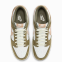 Nike Dunk Low Retro Premium FQ8250-200 0