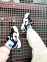 Nike Air Monarch Iv (Black/Blue/White) 11