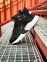 Nike Huarache Winter Acronym (Black/White) 21