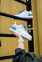 Nike Air Force Shadow Be Kind 9