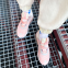 Nike 270 React (Barely Rose) 1