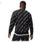 Кофта Nike Air Jordan Essentials Fleece DX9173-010 0