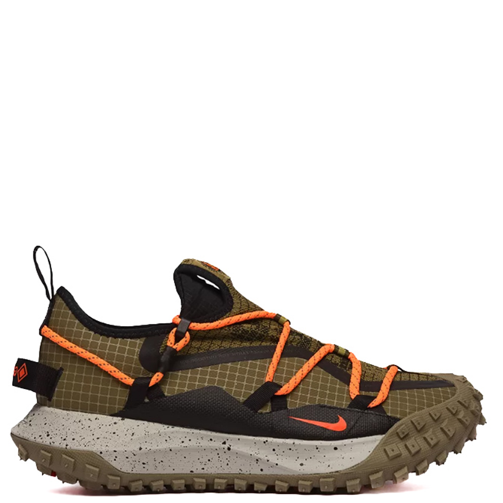 Nike ACG Mountain Fly Low GTX