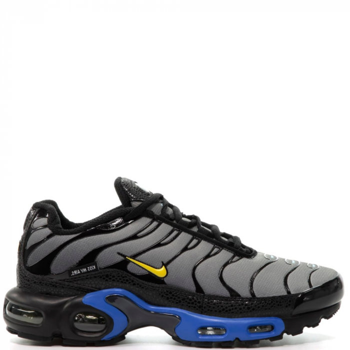 Nike Air Max Plus TN (Grey/Black/Blue)
