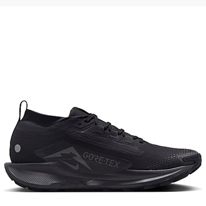 Nike Pegasus Trail 5 Gore-Tex Black FQ0908-002