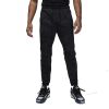 Спортивні штани Nike Air Jordan Dri-FIT Sport All-Over-Print Pant FN5844-010