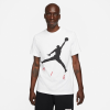 Футболка Nike Air Jordan Jumpman Air HBR Crew CV3425-101