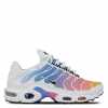 Nike Air Max Plus Tn (Multicolor)