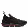 Nike Lebron 16 Fresh Bred
